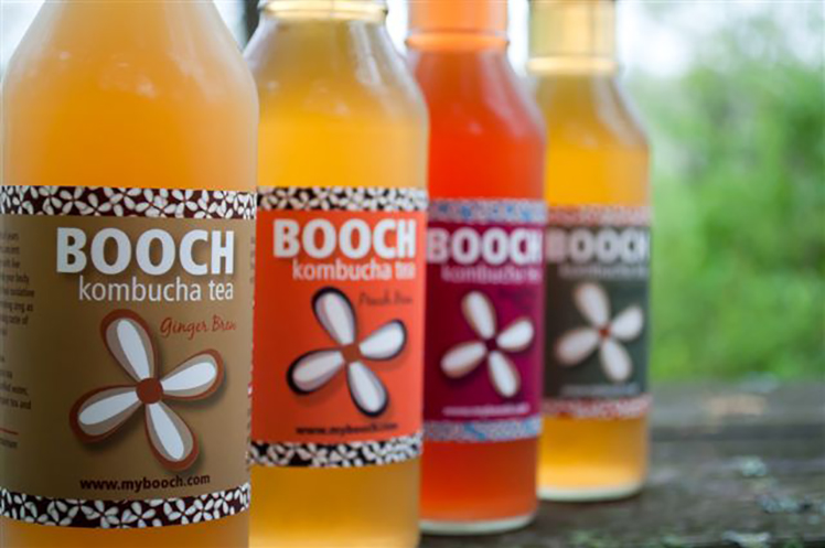 whatiskombucha
