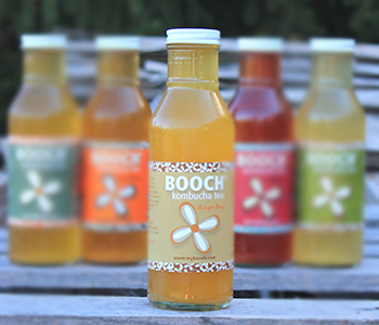 Ginger Brew