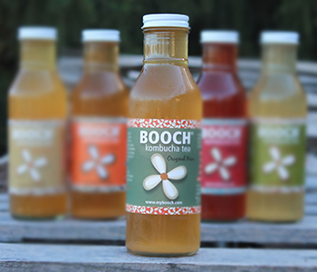 Original Brew